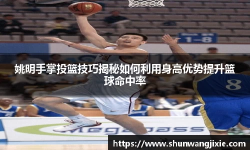 姚明手掌投篮技巧揭秘如何利用身高优势提升篮球命中率